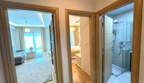 Deluxe One-Bedroom Apartment