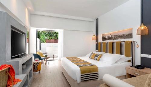 Junior Suite with 1 Kingsize bed, single Sofa bed and terrace with private pool 