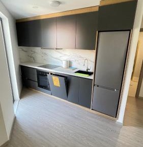 Apartment with Mountain View