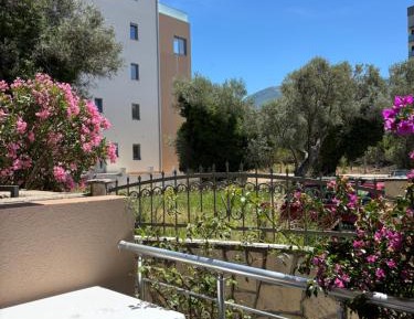 Apartment with Terrace