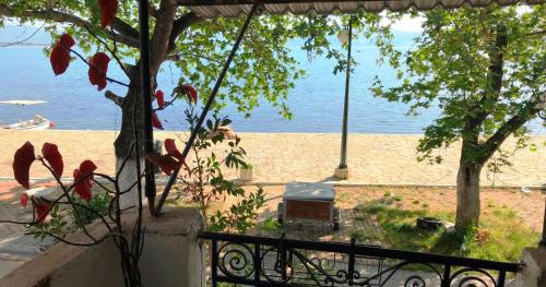 Two-Bedroom Deluxe Apartment with Ocean View