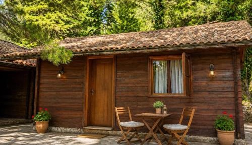 Double Room with Mountain View