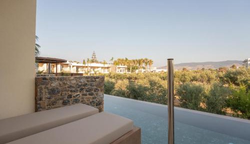 DELUXE SUITE SWIM UP