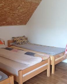 Mixed Dormitory Room
