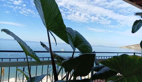 Standard Triple Room with Sea View
