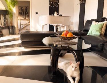 One-Bedroom Villa