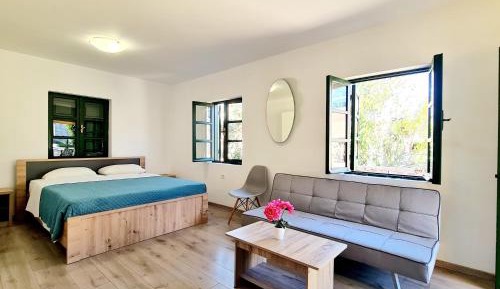 Studio with Sofa Bed
