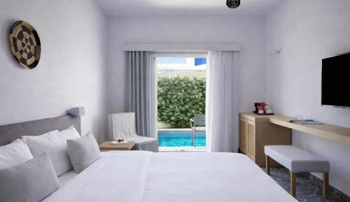 Double Room with Plunge Pool