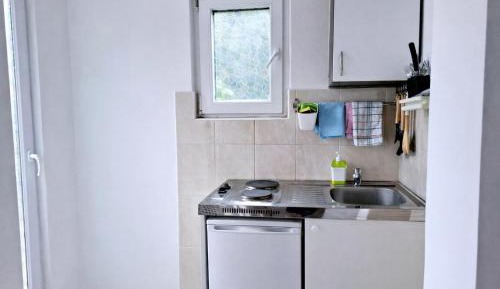 Studio with Garden View