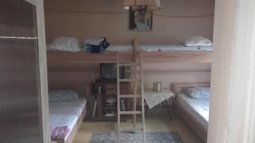 Single Bed in Mixed Dormitory Room