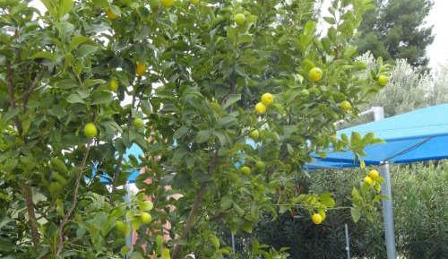 Studio (2 Adults)