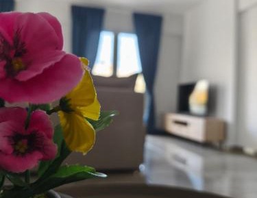 Two-Room Apartment