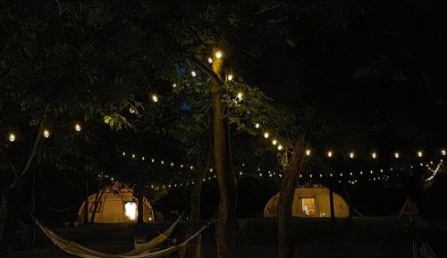 Tent