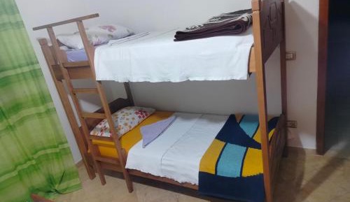 Bed in 8-Bed Mixed Dormitory Room
