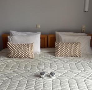 Twin Room with Garden View