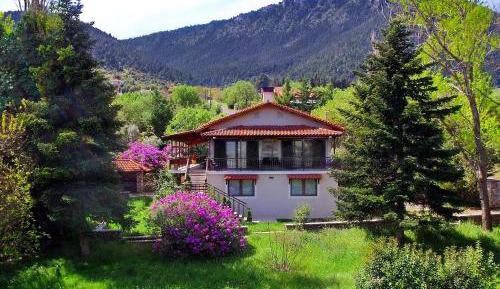 Superior Villa