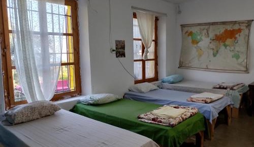 Bed in 8-Bed Mixed Dormitory Room