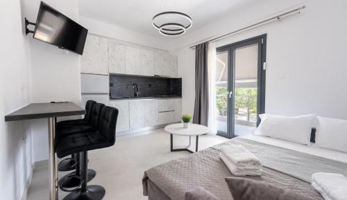 One-Bedroom Apartment with Park View