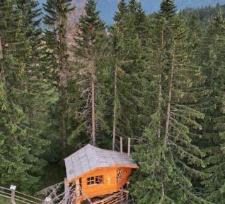 Tree House