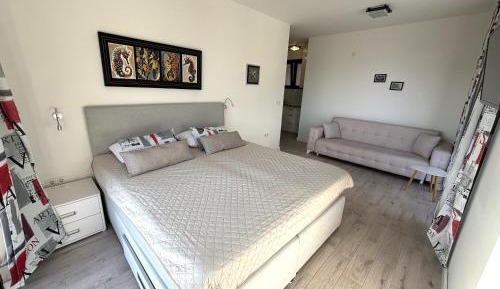 King Studio with Sofa Bed