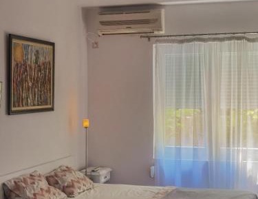 Classic Apartment