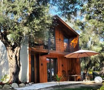 One-Bedroom House