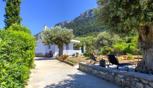One-Bedroom Villa