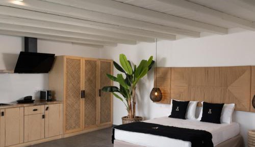 Executive Suite with private pool (Agrari)