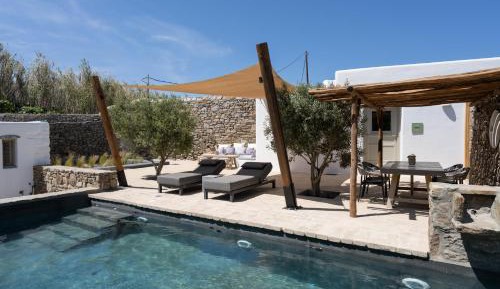 Family Villa with private pool (Tigani)