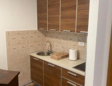 Apartment with Lake View