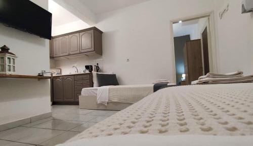 Ground Floor Apartment