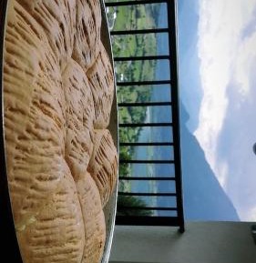 Twin Room with Balcony