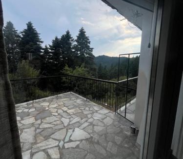 Central Tzoumerka Apartment | Ble Elia Alataries
