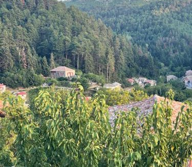 Vamvakou House | Forrest Guesthouse