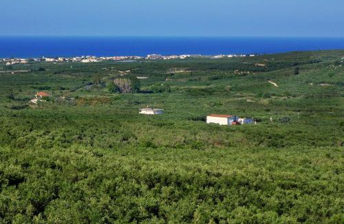Kamisiana Villa | Villa Andreas