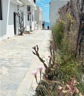 Kardamena Apartment | MiGianThea House