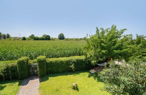 Kourouta House | A casa d'Irene