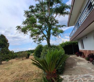 Amykles House | Amyclae Heritage House-Traditional stone residence with modern comforts