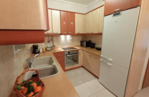 Souroti Apartment | SOUROTI Pinios House