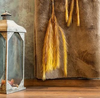 Ioannina Apartment | Golden Rooms