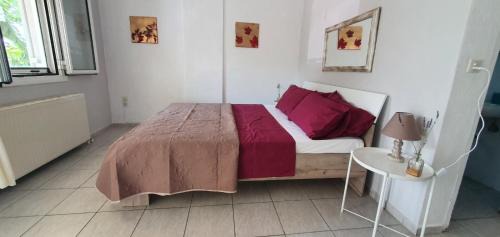 Imathia Region Apartment | Eleni Karouti rooms for rent