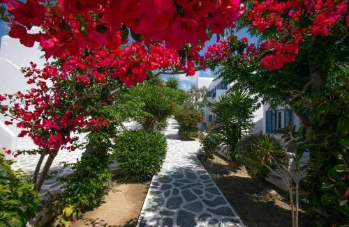 Platis Gialos Hotel | Acrogiali Beachfront Hotel Mykonos