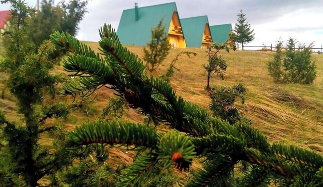 D&N place