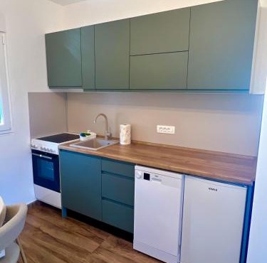 Blue Horizon Apartments in Radovici