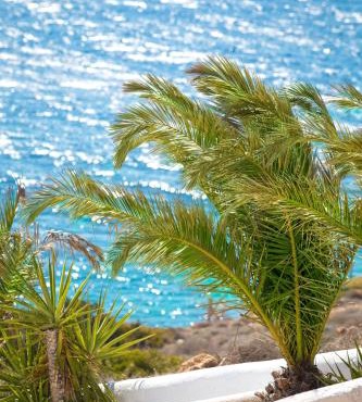 Pahivouni Studios & Suites in Donoussa